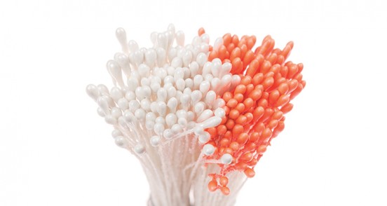  Foto: Pistilli per fiori arancio perlato e bianco perlato conf. 288